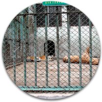 Зоопарк (г. Яньцзи)